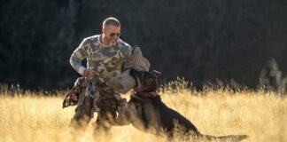Brad Pitt as James Belmont and Odin in Heart Of The Beast. Photo: Scott Garfield. Copyright: 2026 Paramount Pictures. All Rights Reserved.