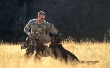 Top 3 Films of the Week 21 September 2026 Brad Pitt as James Belmont and Odin in Heart Of The Beast. Photo: Scott Garfield. Copyright: 2026 Paramount Pictures. All Rights Reserved.